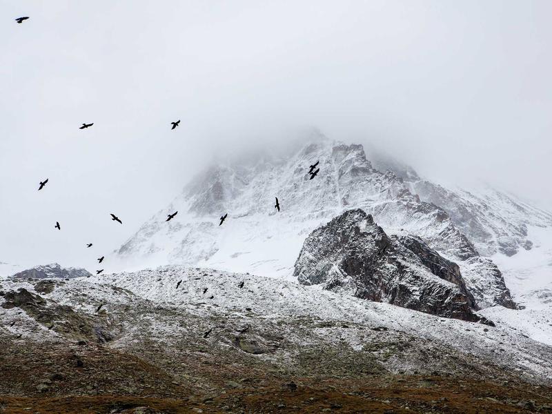 sudoku hints system screenshot 1